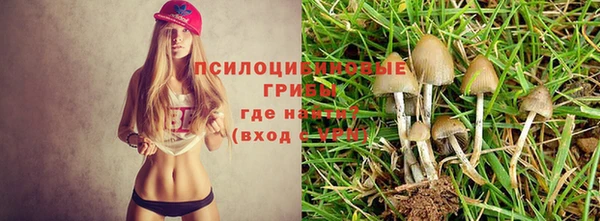 герыч Баксан