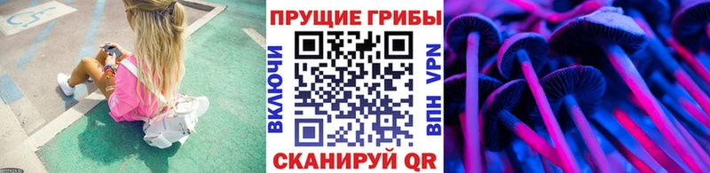 Галлюциногенные грибы Psilocybine cubensis  маркетплейс формула  Давлеканово 